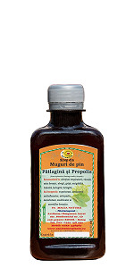 sirop-muguri-de-pin-propolis-si-patlagina-fata-250ml.jpg