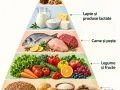 Piramida alimentelor