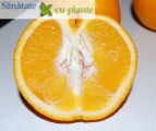 jumatate portocala