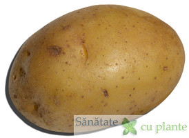 Cartoful-solanum-tuberosum-2