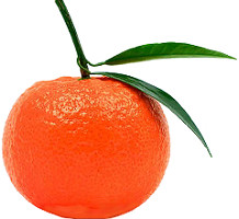 mandarina