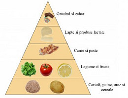 piramida-alimentelor piramida-alimentelor