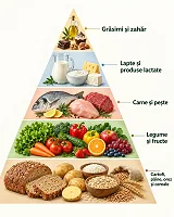 Piramida alimentelor