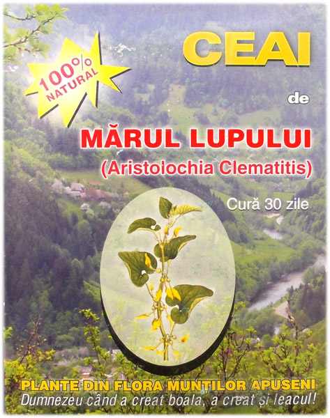 Predecessor Willing Vegetation Ceai din Marul Lupului (Aristolochia clematitis)